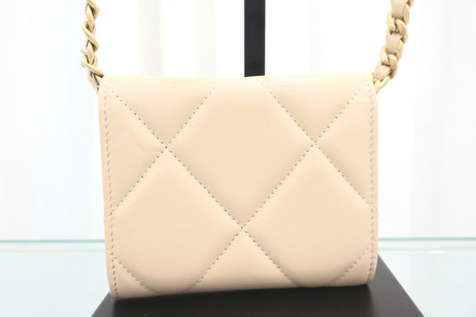 19 Coinpurs Flap Chain Crossbody Bag AP1787