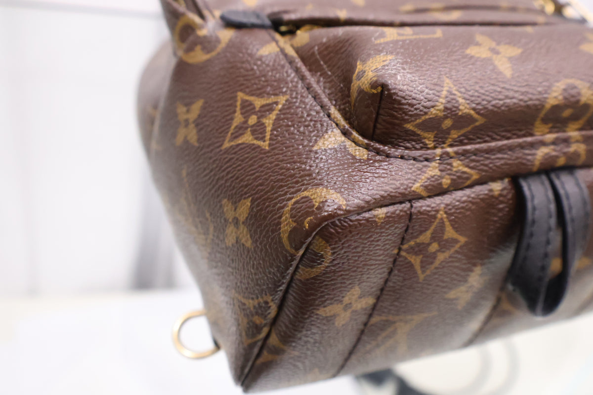 Monogram Palm Springs Mini Backpack M41562