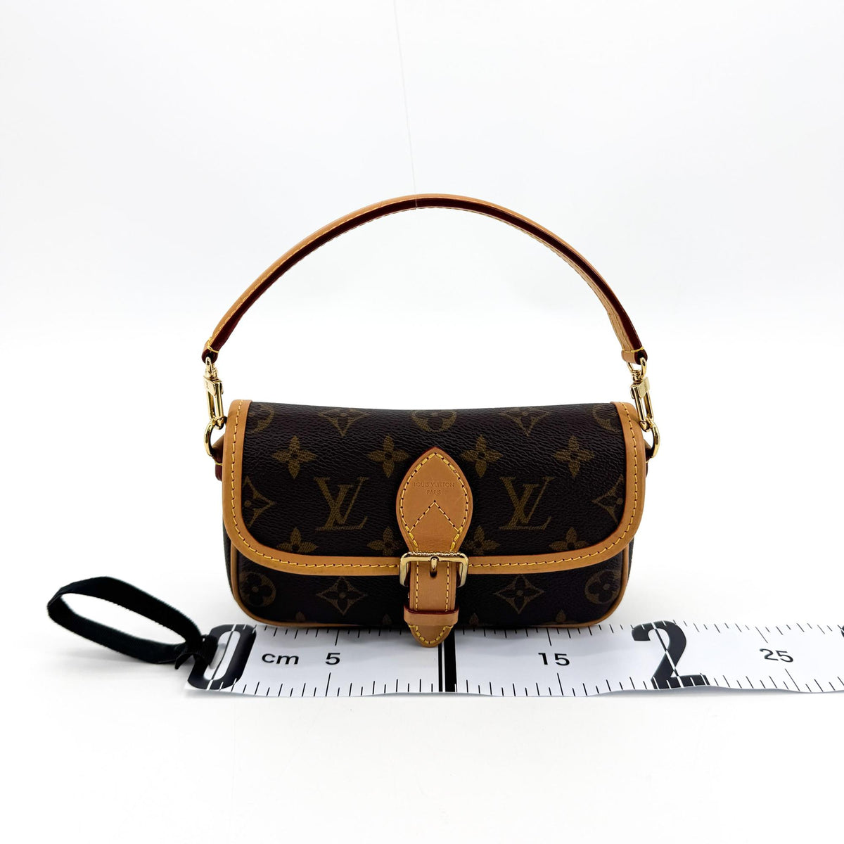 Louis Vuitton Nano Diane Monogram Bag