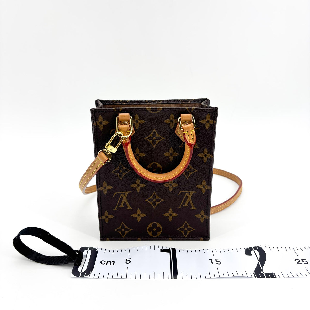 Louis Vuitton Monogram Petit Sac Plat