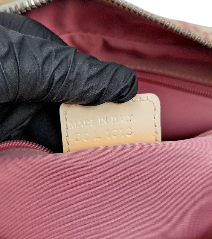 Dior Pink Oblique Trotter