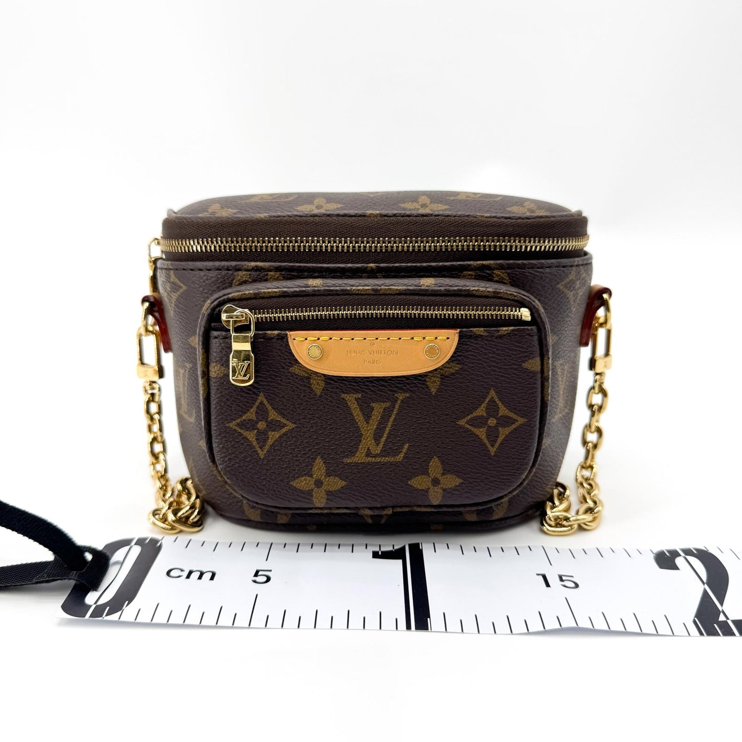 Louis Vuitton Mini Bum Bag Monogram