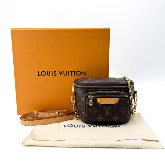 Louis Vuitton Mini Bum Bag Monogram