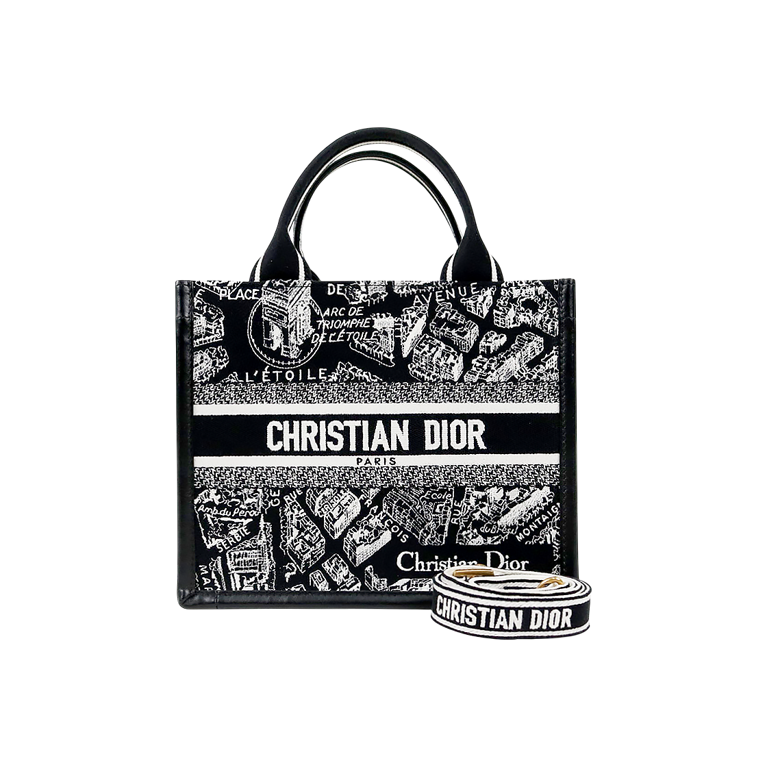 Dior Small Plan de Paris Leather Book Tote