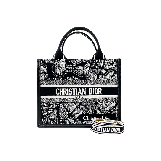 Dior Small Plan de Paris Leather Book Tote