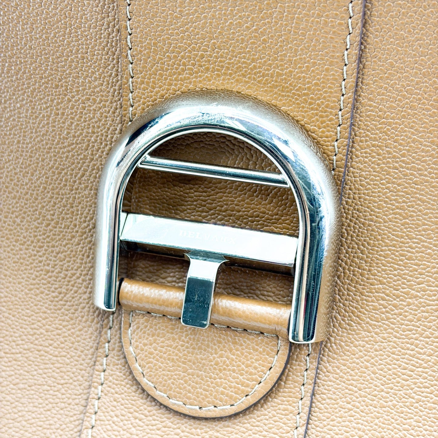 Delvaux Brillant MM Rodeo Calf Vegetal Gold Hardware