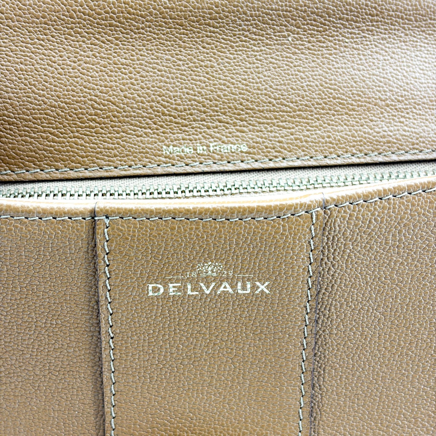 Delvaux Brillant MM Rodeo Calf Vegetal Gold Hardware