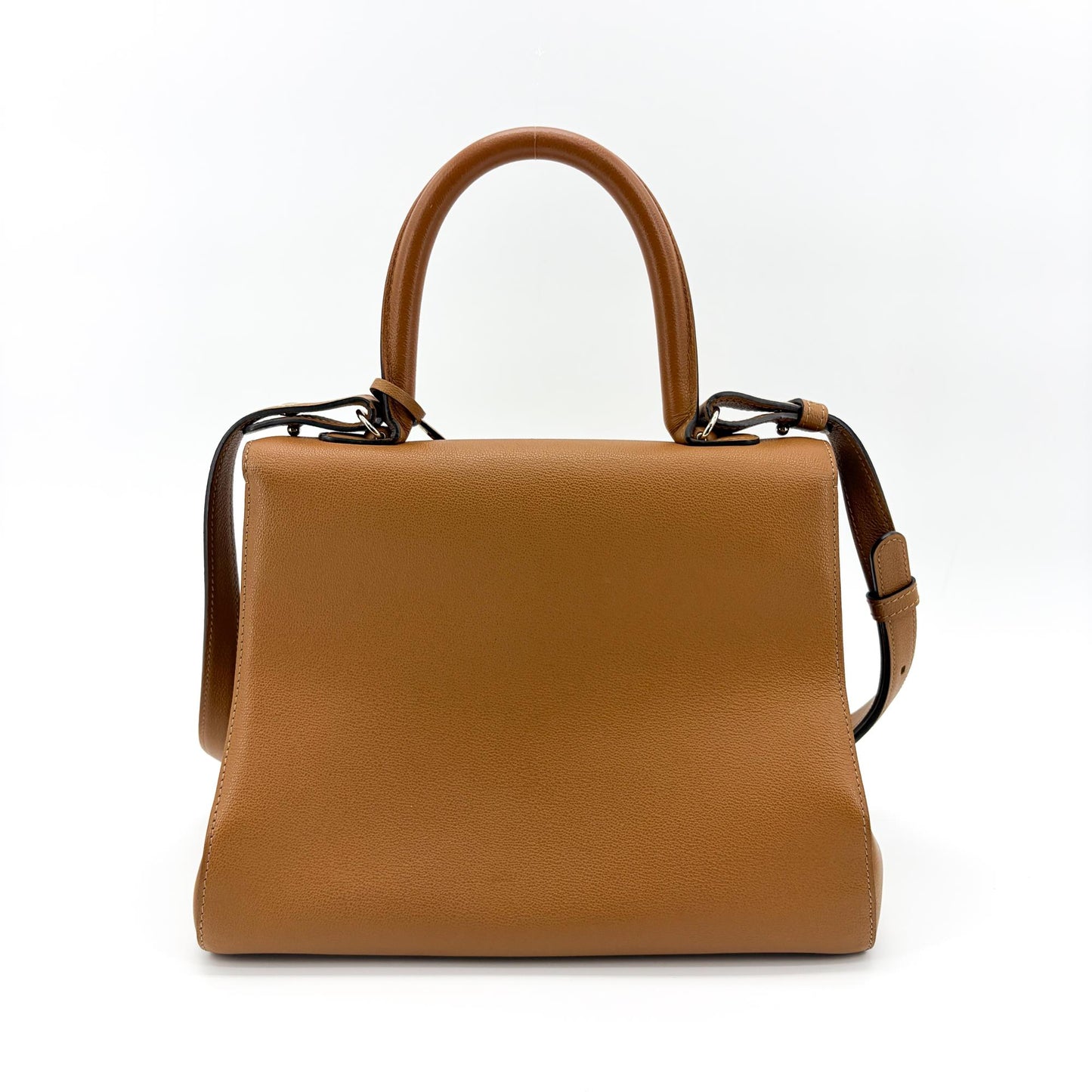 Delvaux Brillant MM Rodeo Calf Vegetal Gold Hardware