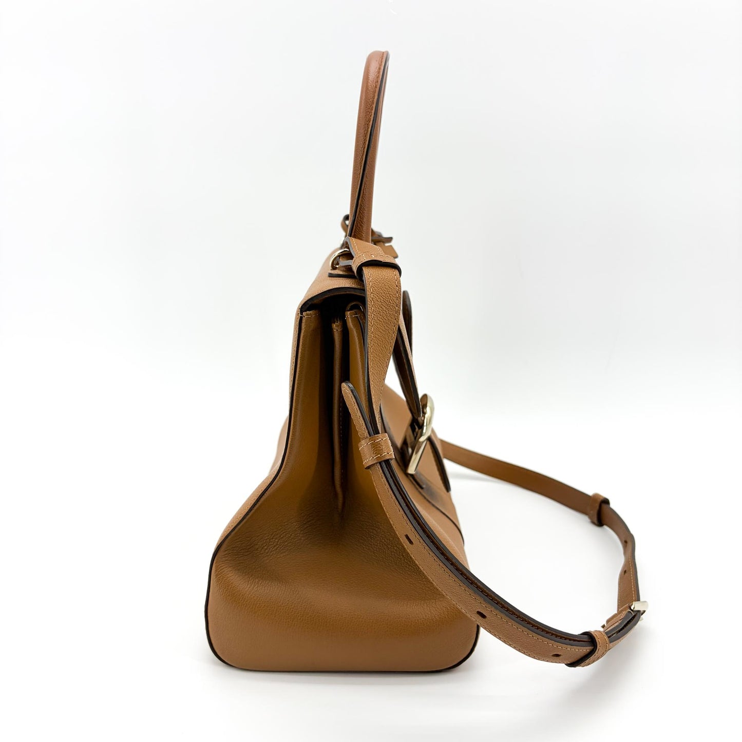 Delvaux Brillant MM Rodeo Calf Vegetal Gold Hardware