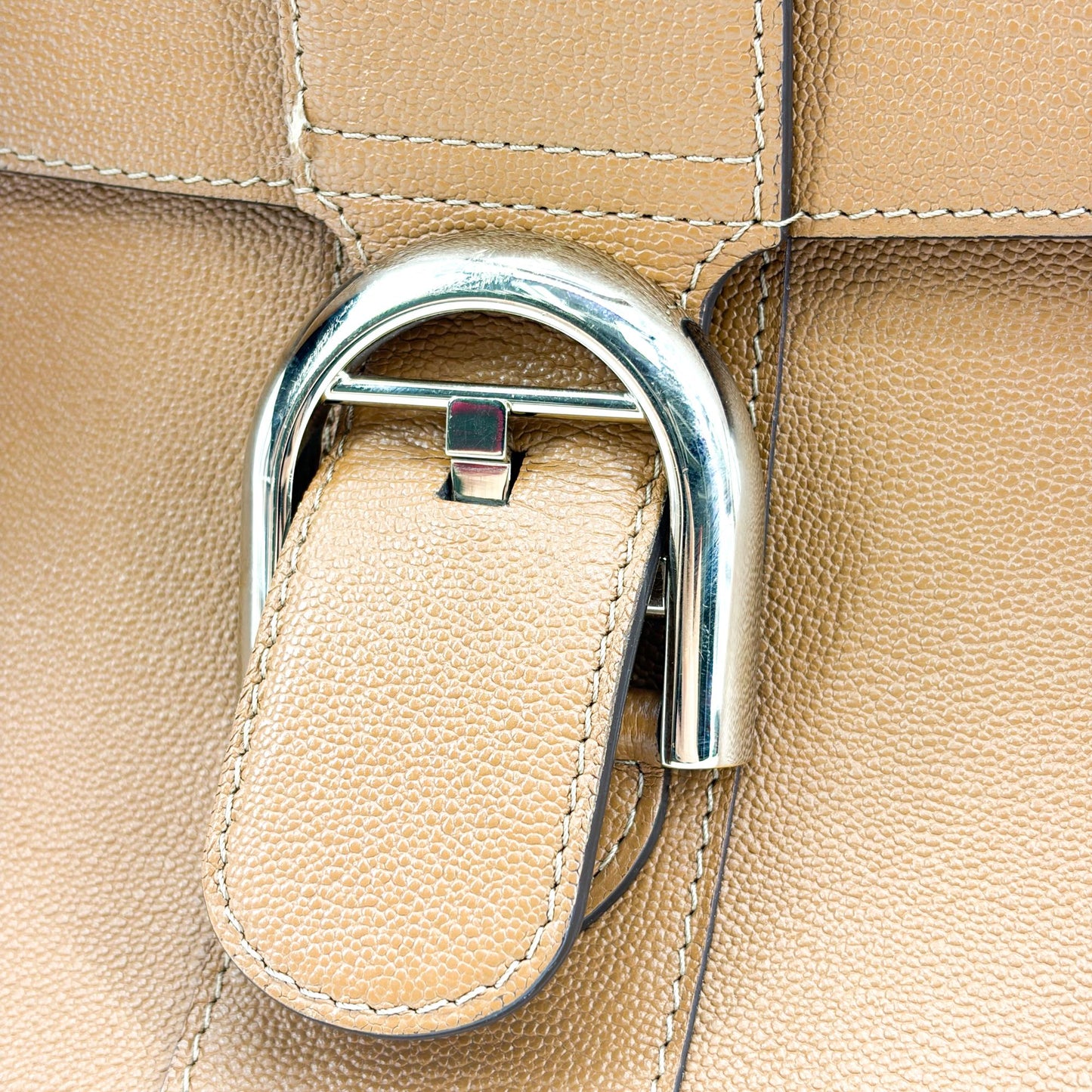 Delvaux Brillant MM Rodeo Calf Vegetal Gold Hardware