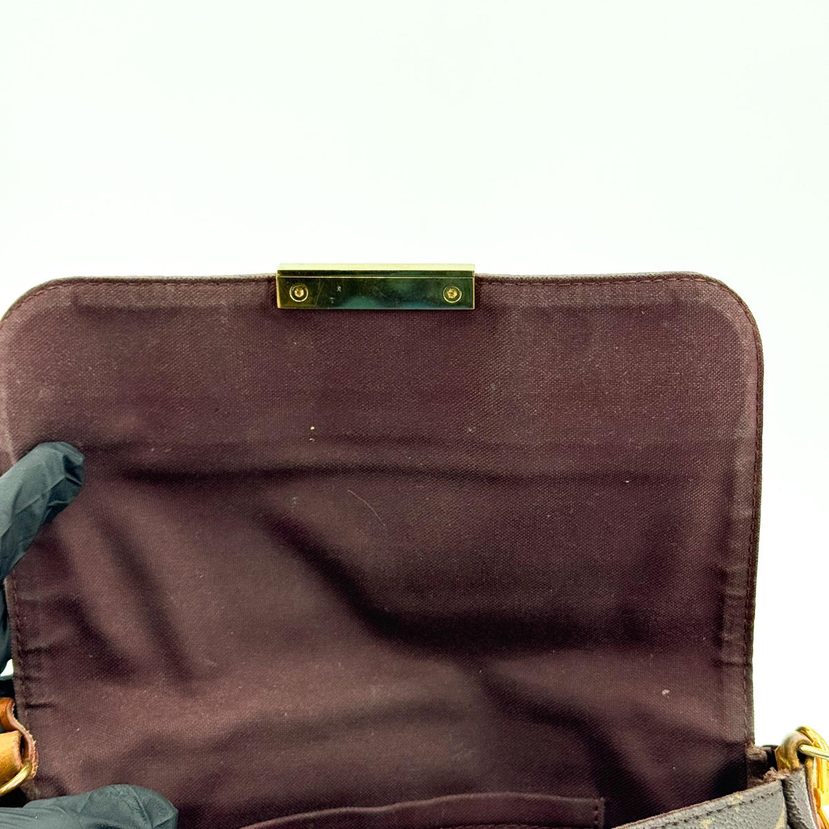 Louis Vuitton Monogram Favorite PM Gold Hardware
