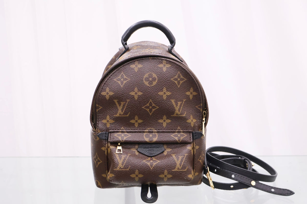 Monogram Palm Springs Mini Backpack M41562