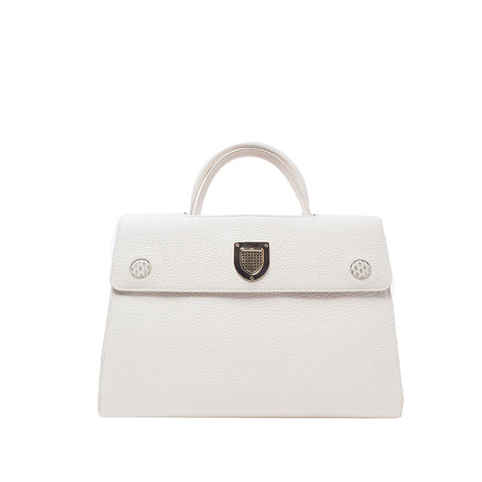Dior Python Everbag