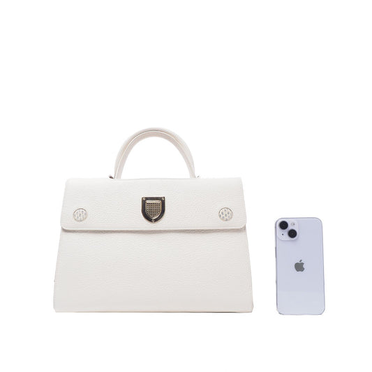 Dior Python Everbag