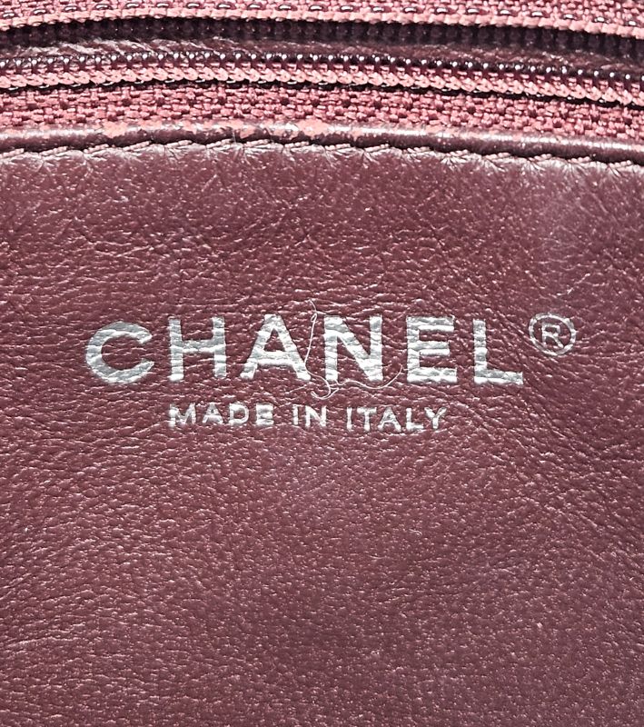 Chanel Metallic Silver Leather Camera Crossbody Bag