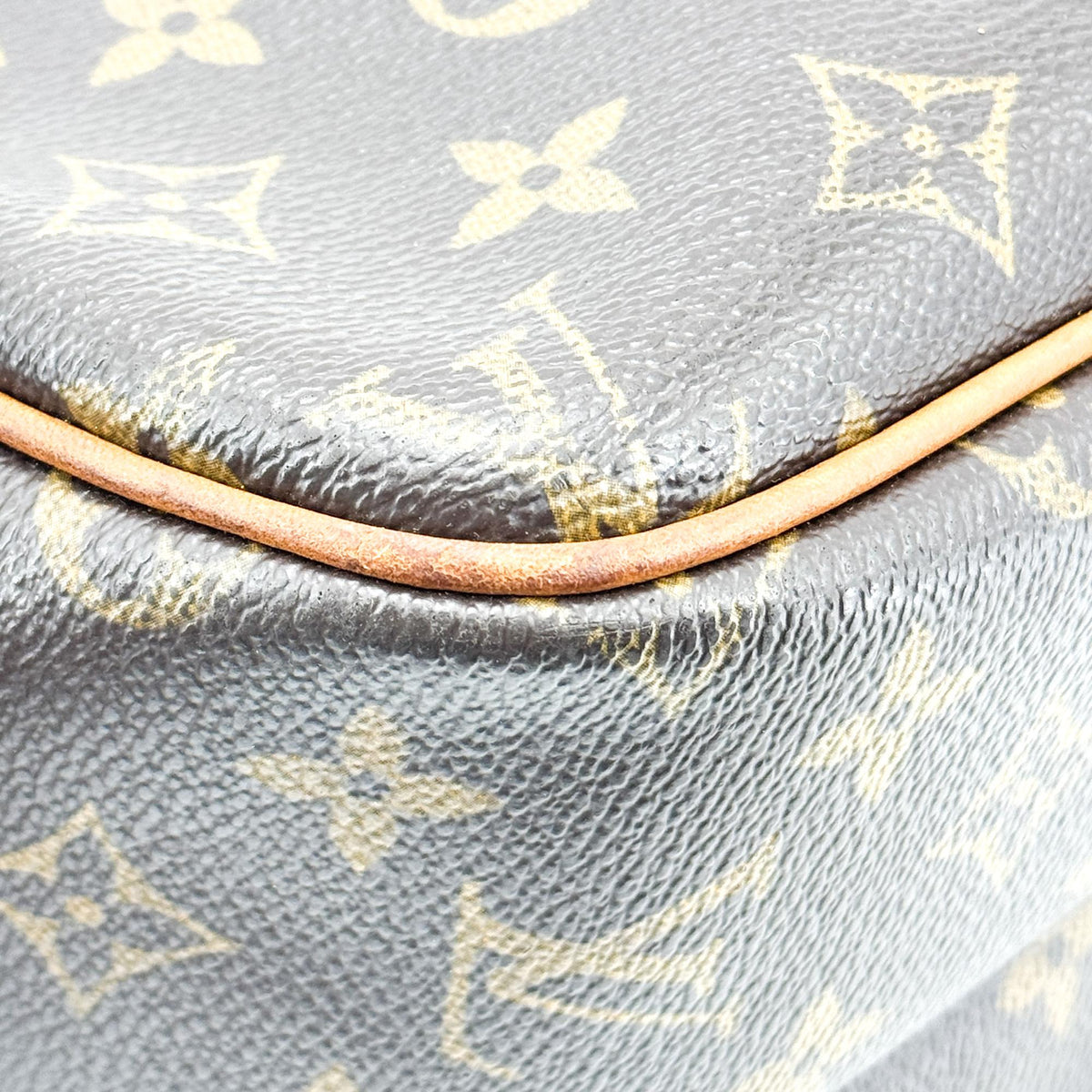 Louis Vuitton Monogram Reporter PM