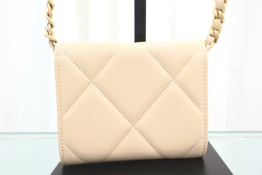 19 Coinpurs Flap Chain Crossbody Bag AP1787