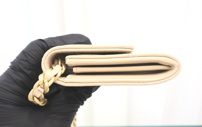 19 Coinpurs Flap Chain Crossbody Bag AP1787