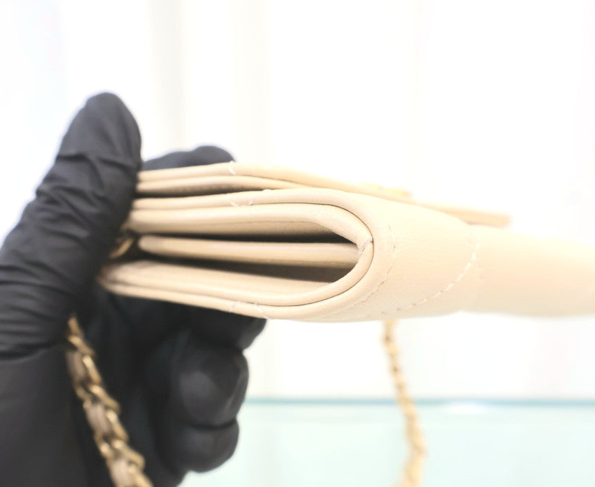19 Coinpurs Flap Chain Crossbody Bag AP1787