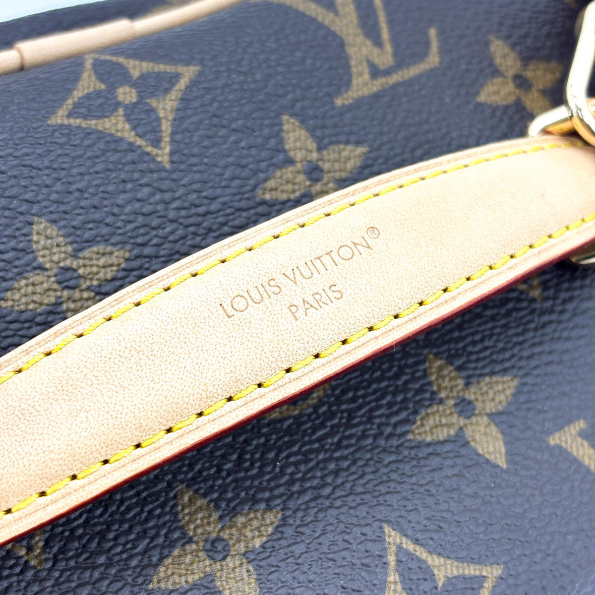 Louis Vuitton Monogram Nice Nano Brown
