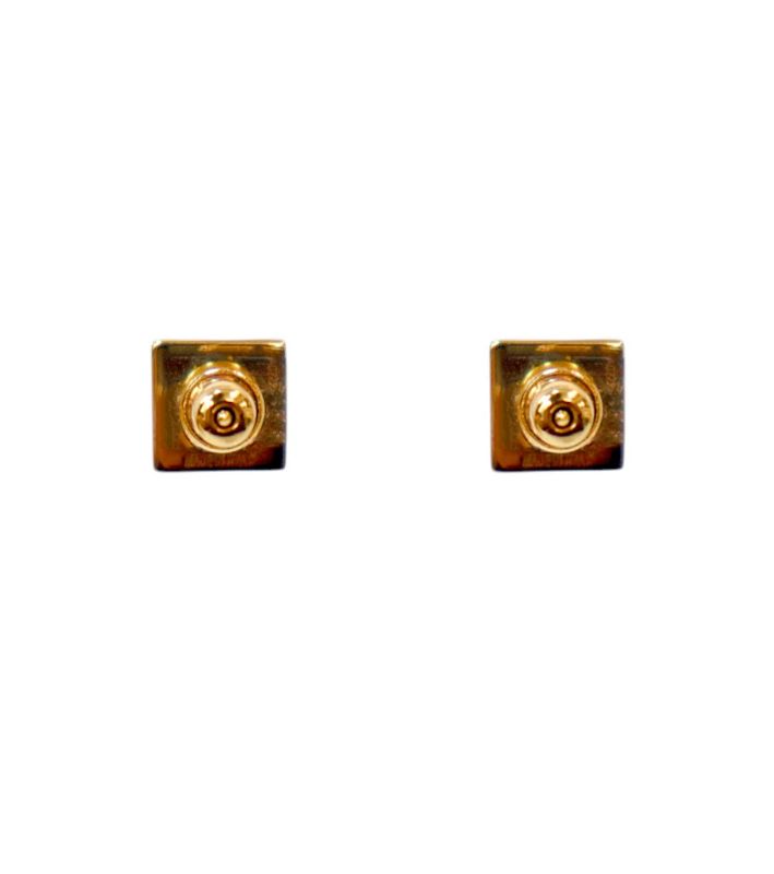 Fendi Pink FF Gold Earrings