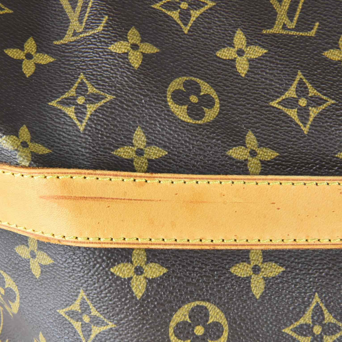 Monogram Cruiser Tote Bag M41138