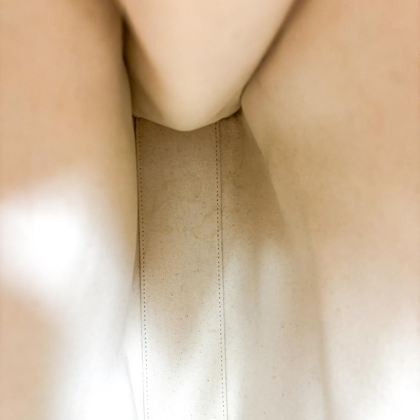 Celine Small Vertical Cabas Canvas and Calfskin Natural Tan