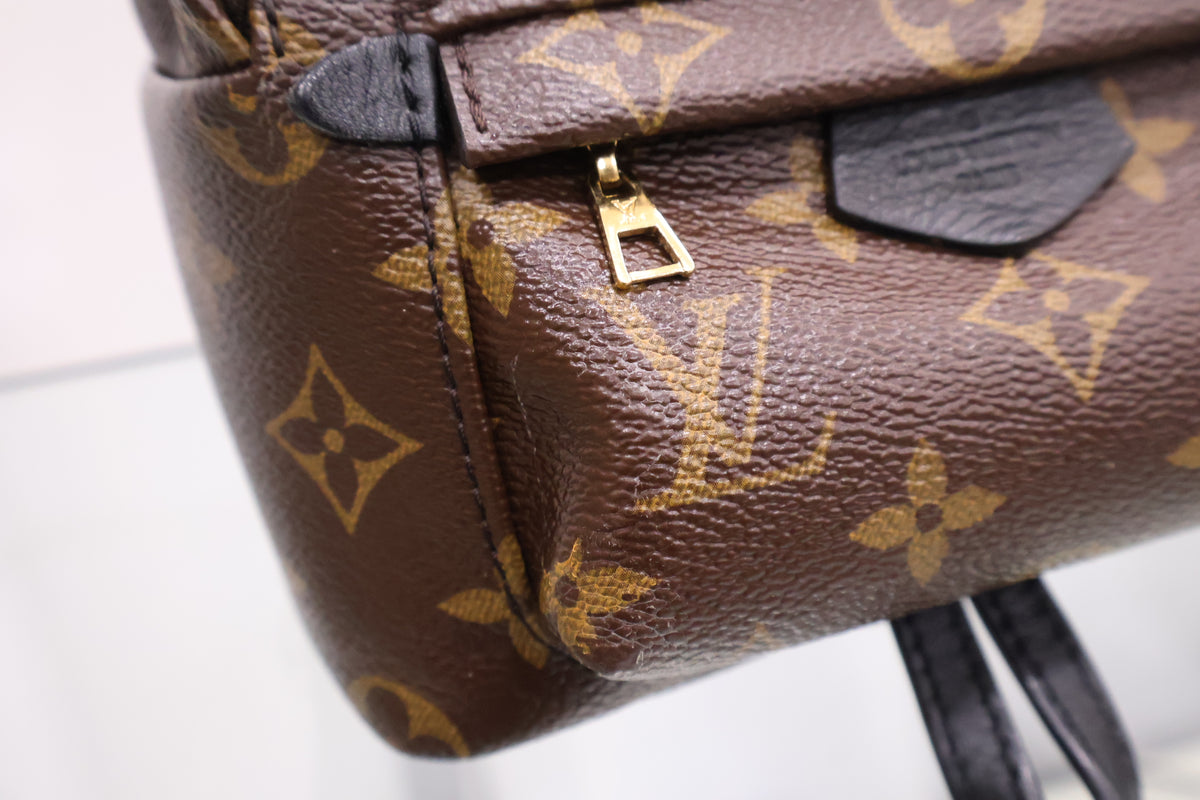 Monogram Palm Springs Mini Backpack M41562
