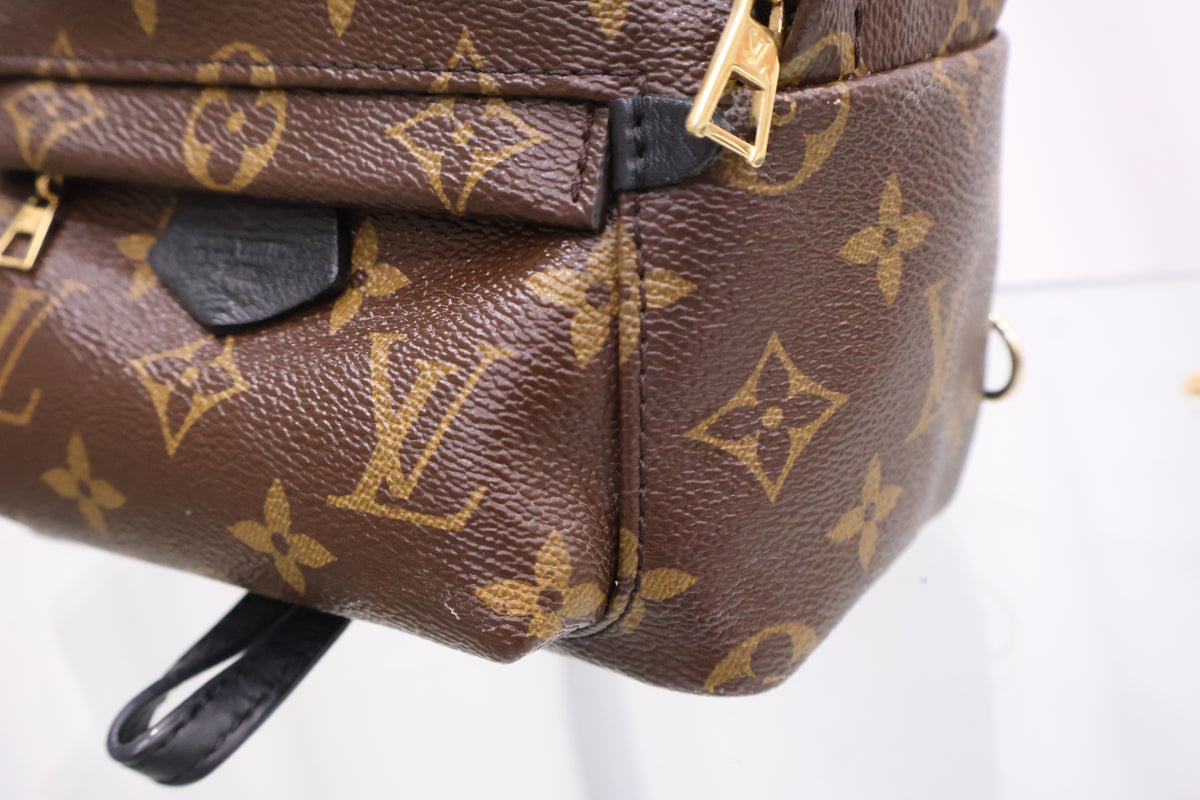 Monogram Palm Springs Mini Backpack M41562