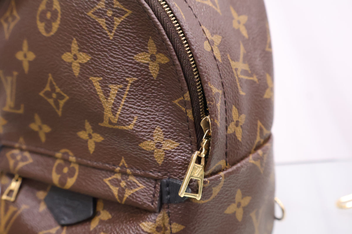 Monogram Palm Springs Mini Backpack M41562