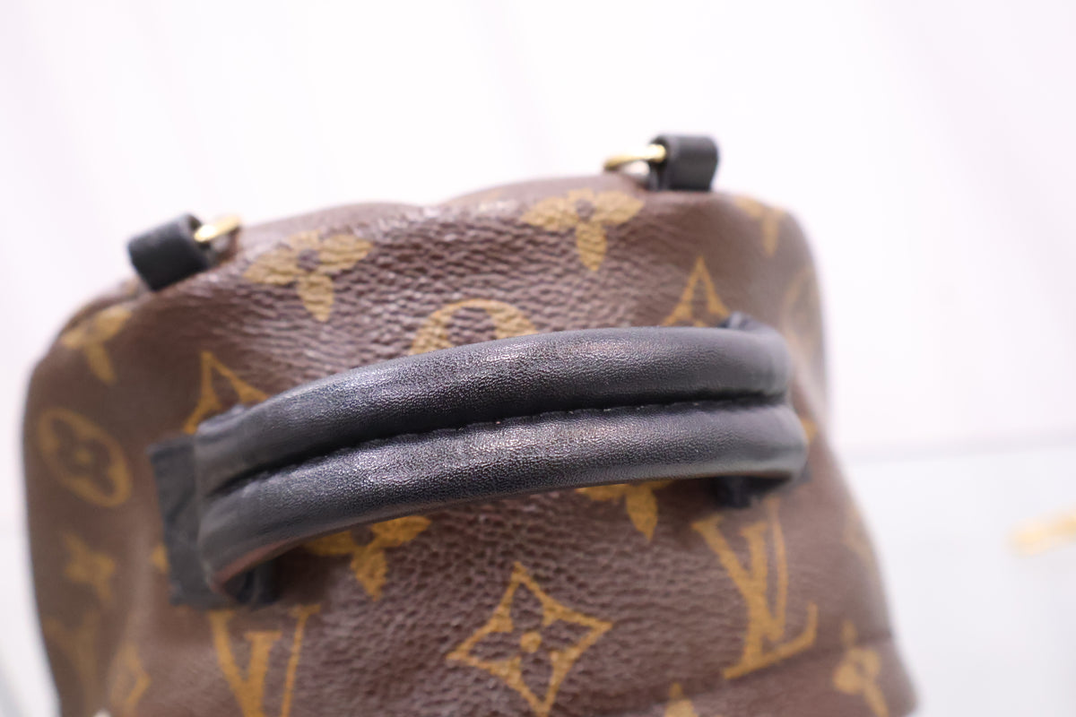 Monogram Palm Springs Mini Backpack M41562