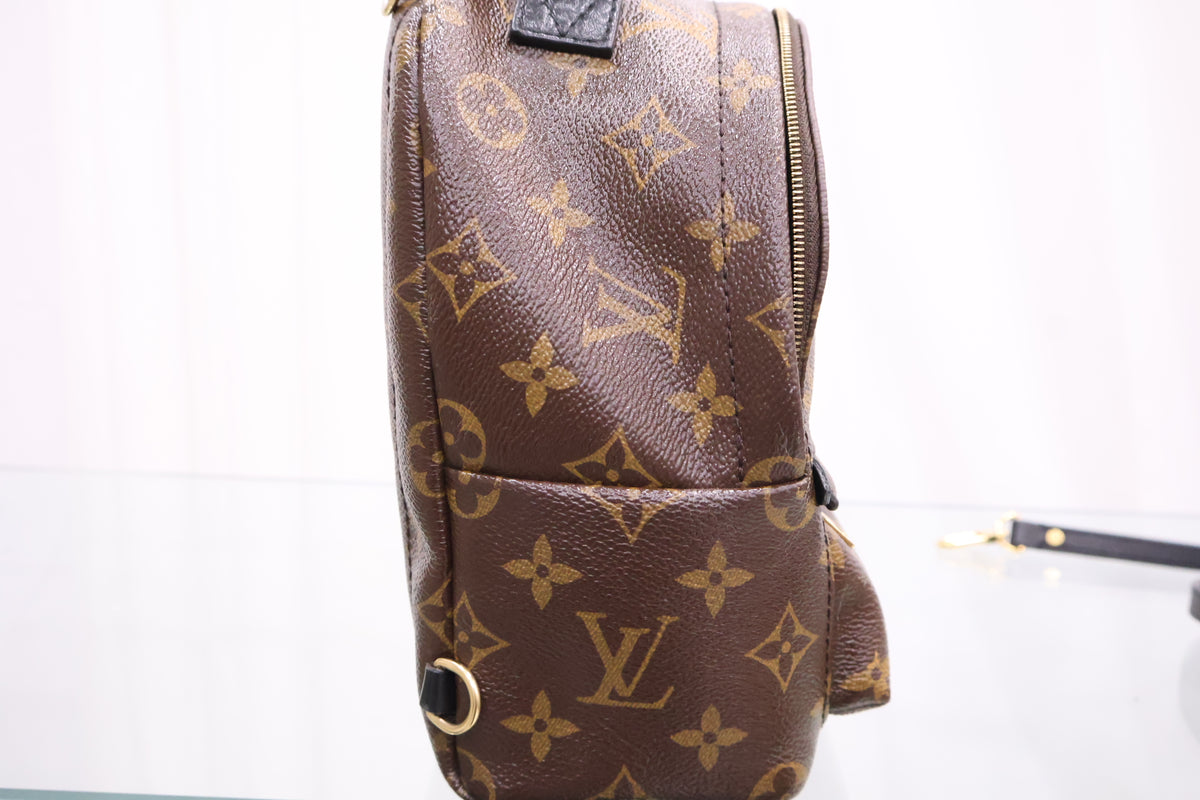 Monogram Palm Springs Mini Backpack M41562