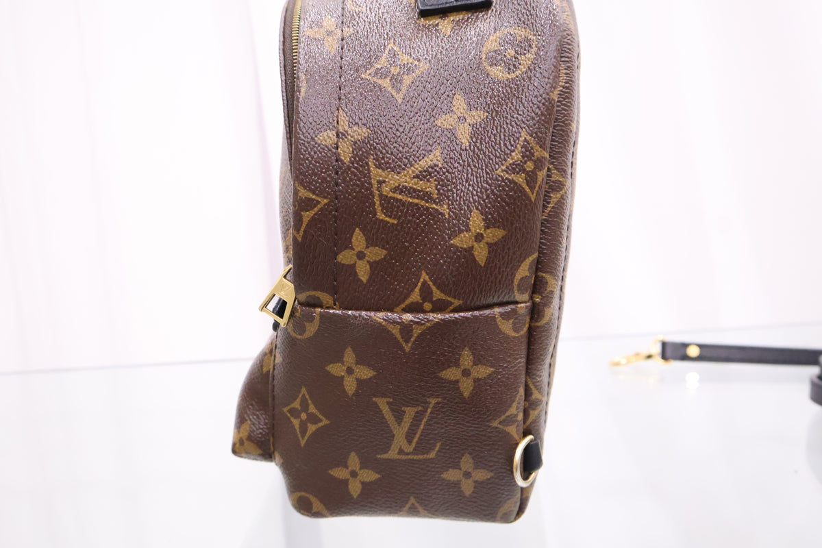Monogram Palm Springs Mini Backpack M41562