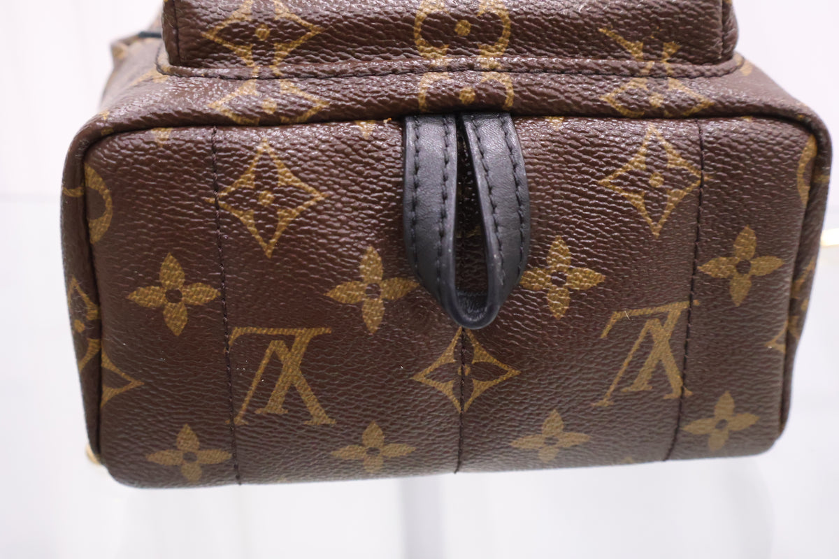 Monogram Palm Springs Mini Backpack M41562