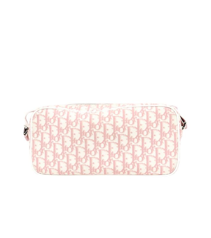 Dior Pink Oblique Trotter