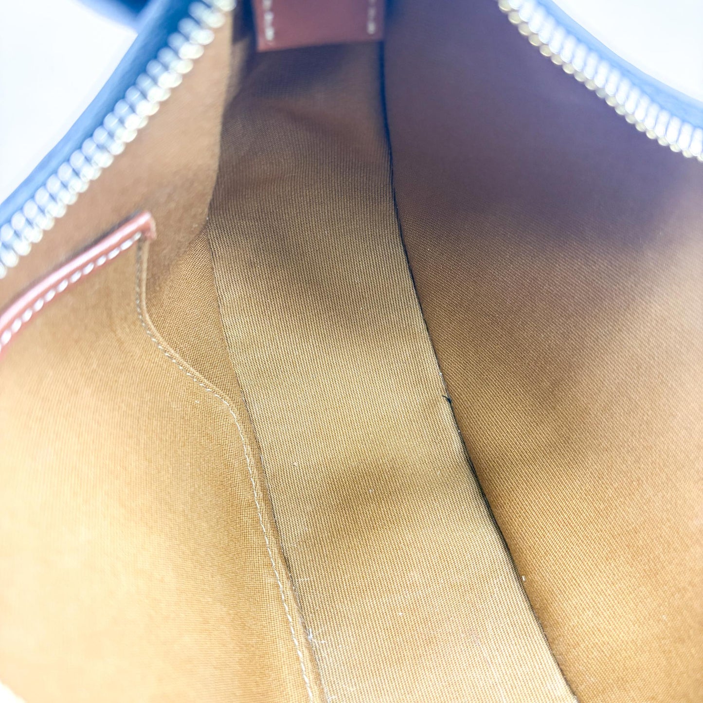 Celine Medium Ava Bag Triomphe Canvas Tan