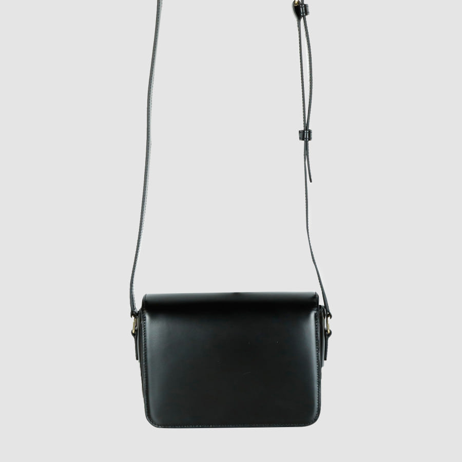 SHINee Calfskin Tin Triomphe Shoulder Bag Crossbody Bag 188423