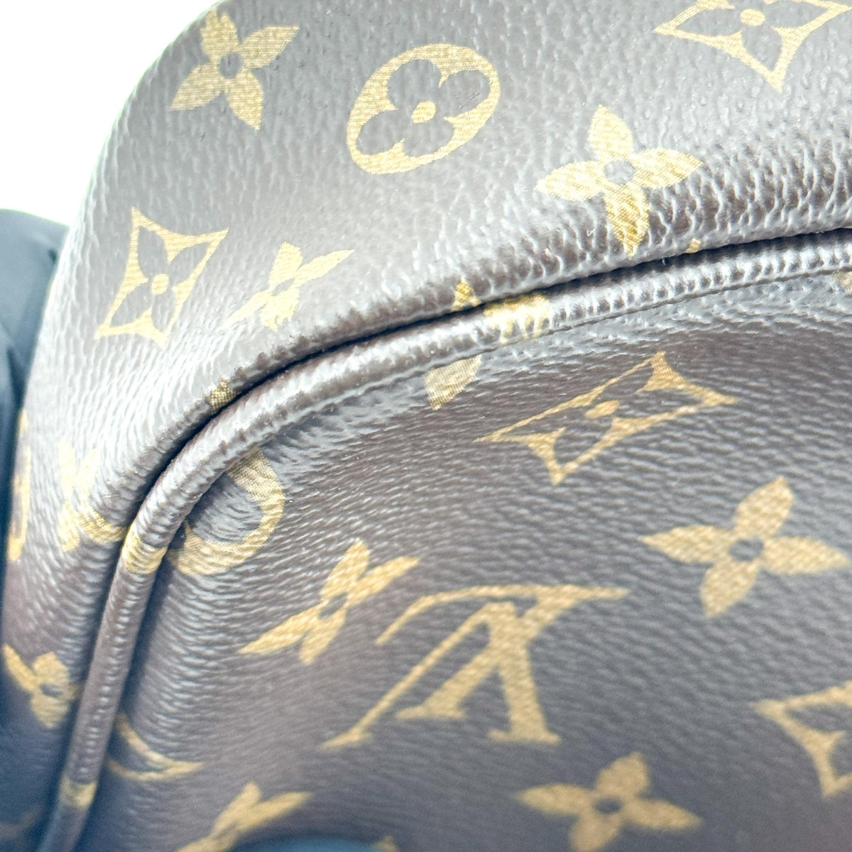 Louis Vuitton Monogram Pochette Accessoires