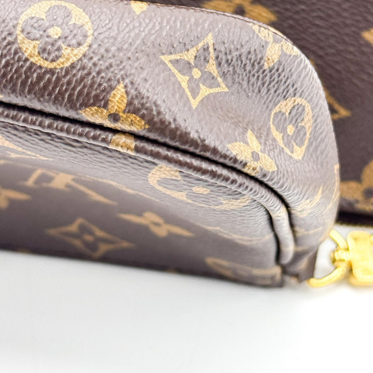 Louis Vuitton Monogram Pochette Accessoires