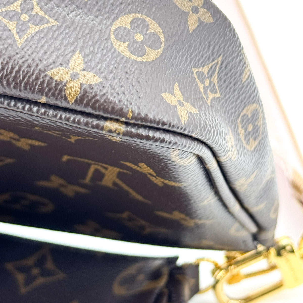 Louis Vuitton Monogram Pochette Accessoires