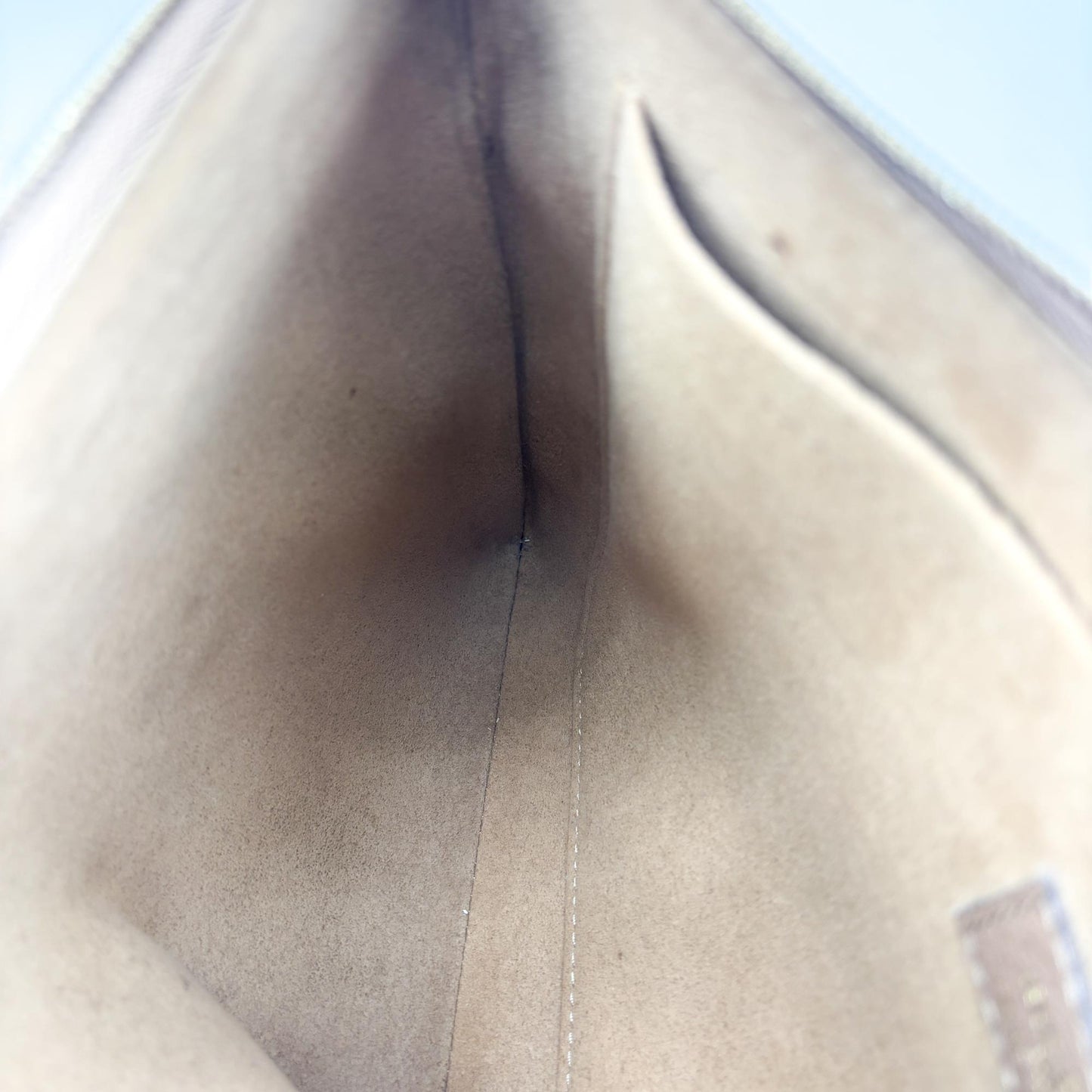 Louis Vuitton Monogram Daily Pouch Sesame