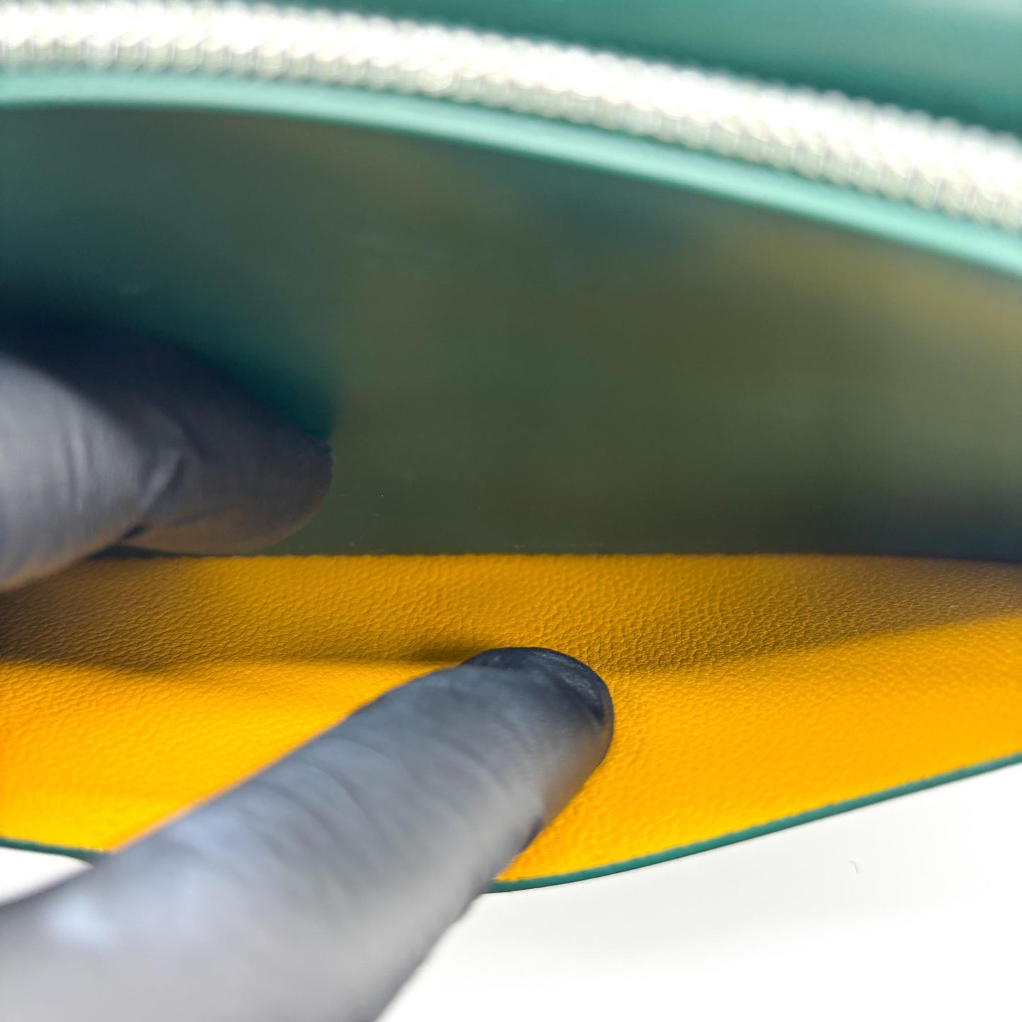 Goyard Richelieu Long Wallet Green