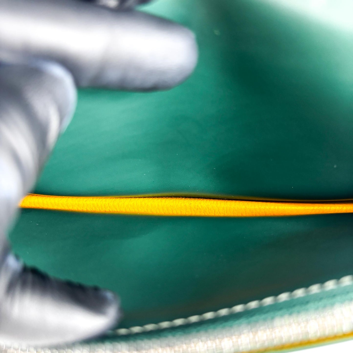 Goyard Richelieu Long Wallet Green
