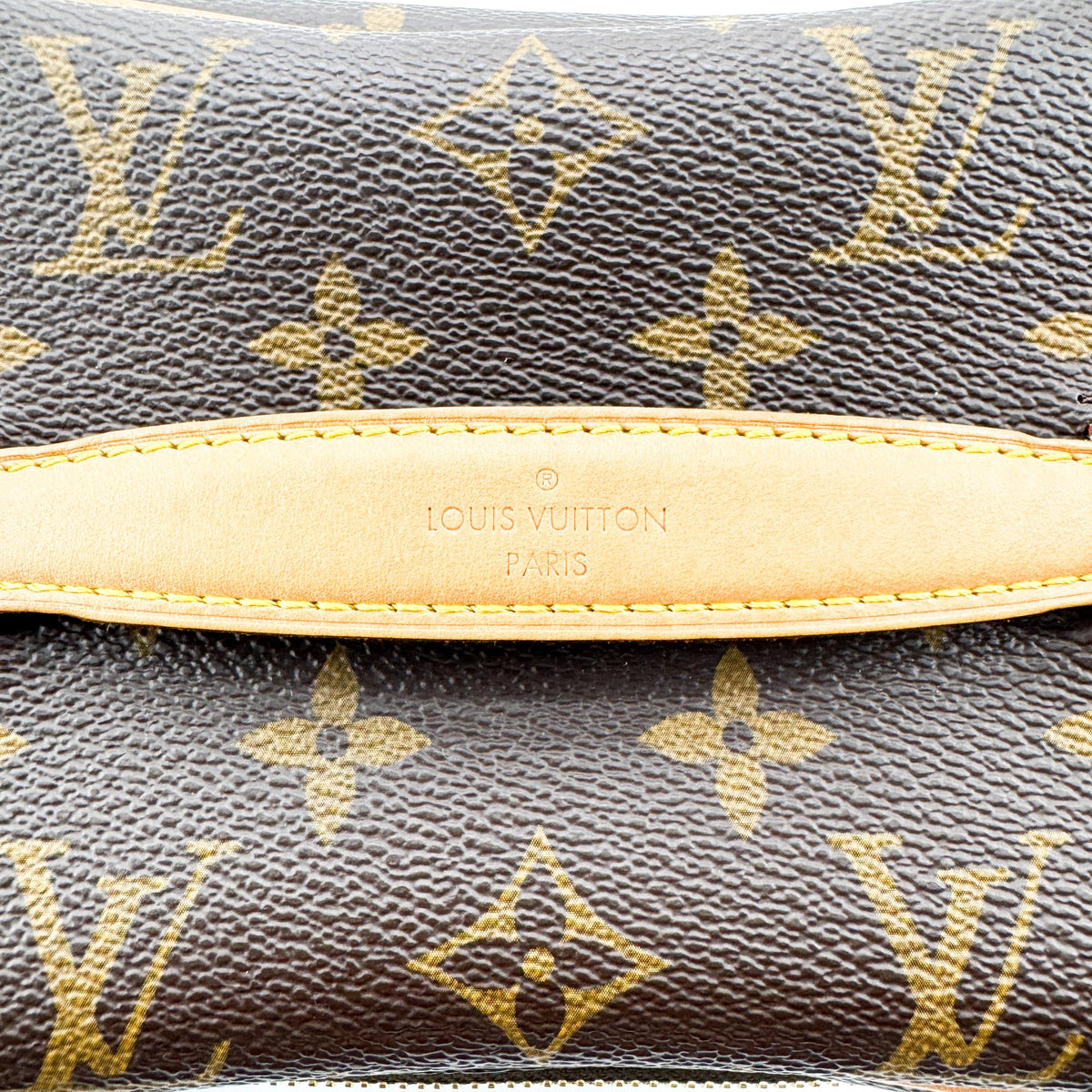 Louis Vuitton Monogram Nice Mini Beauty Case Brown