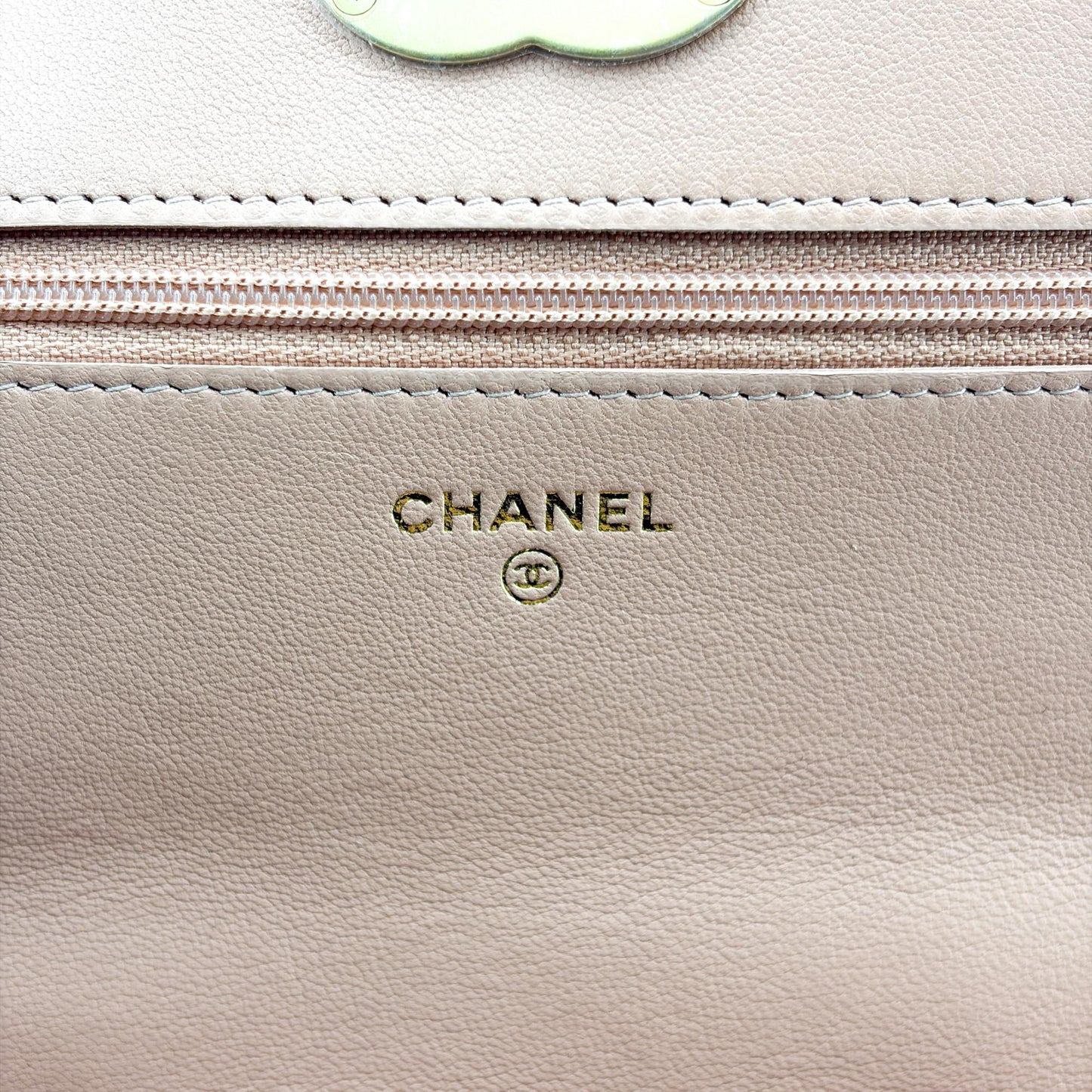 Chanel 19 WOC Chain Bag Pink Lambskin Gold Hardware Silver Hardware