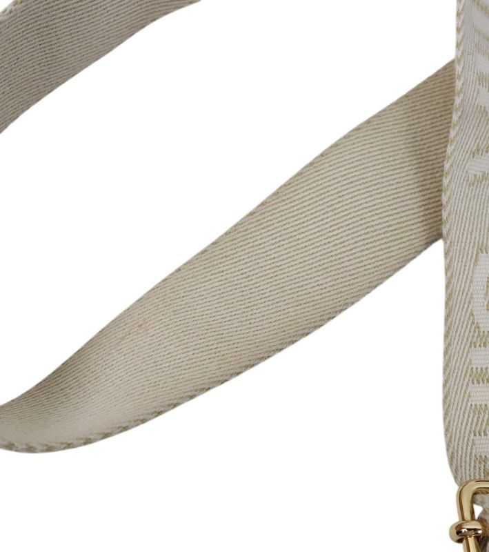 Louis Vuitton Monogram Utility Crossbody Bag
