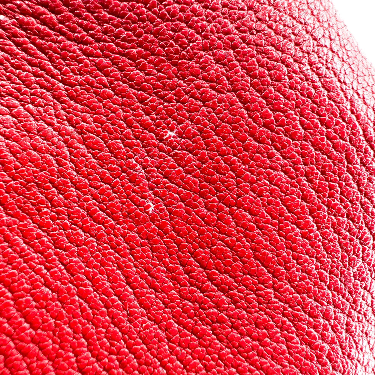 Miu Miu Vitello Leather Striped Strap Crossbody Bag Red