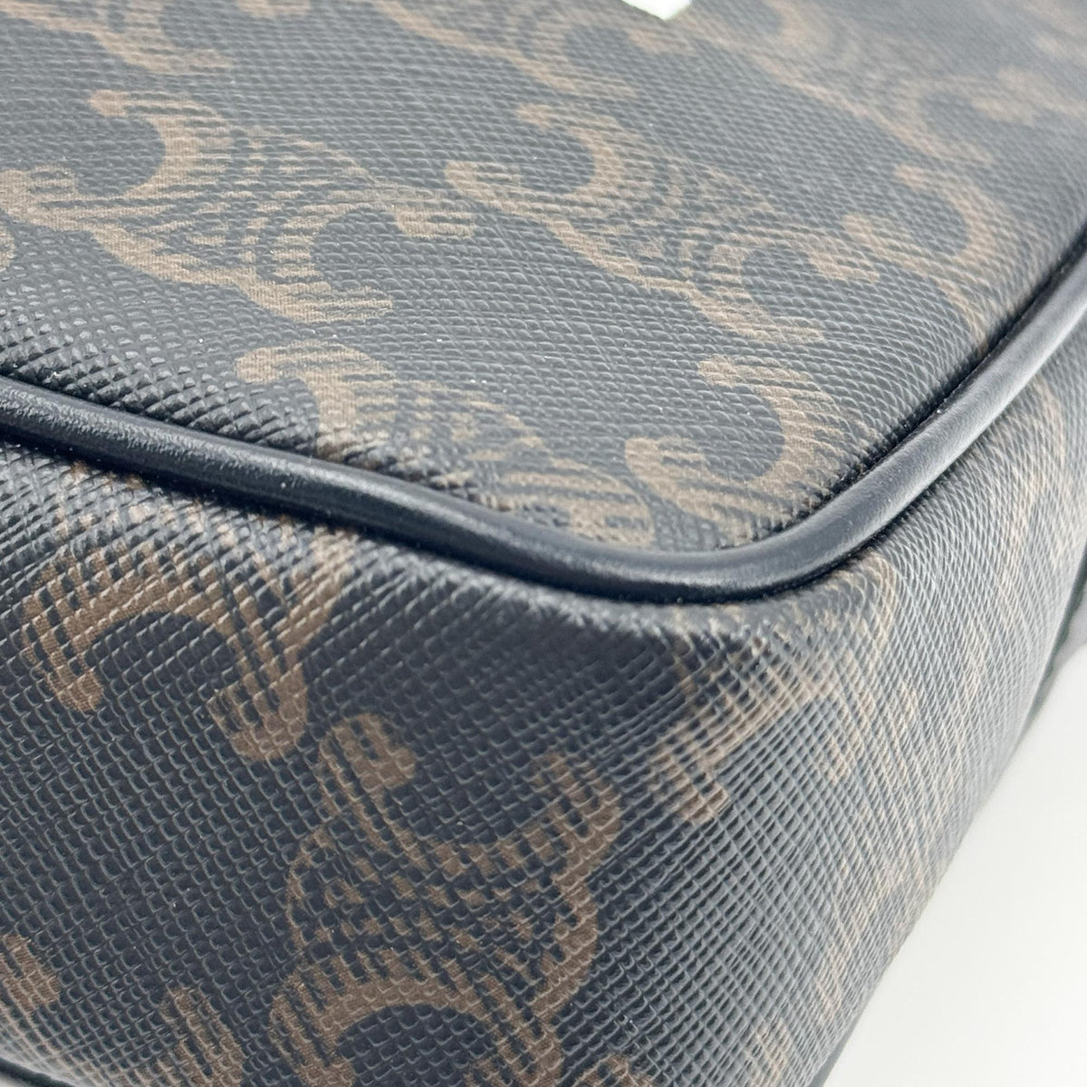 Celine Triomphe Canvas CELINE Print Camera Bag Black