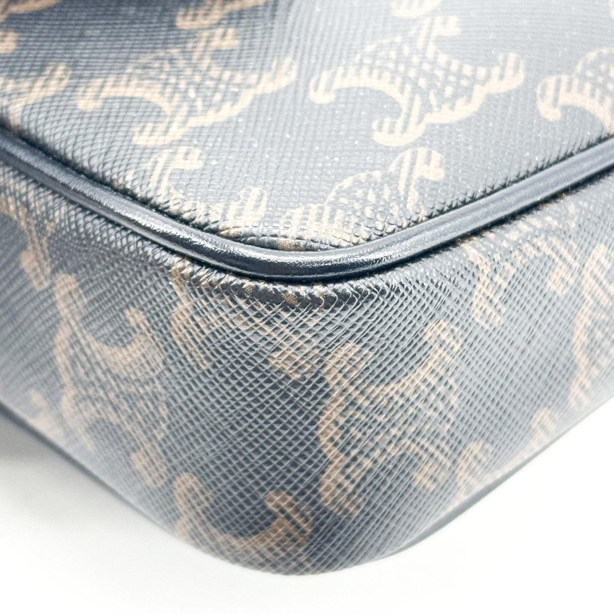 Celine Triomphe Canvas CELINE Print Camera Bag Black