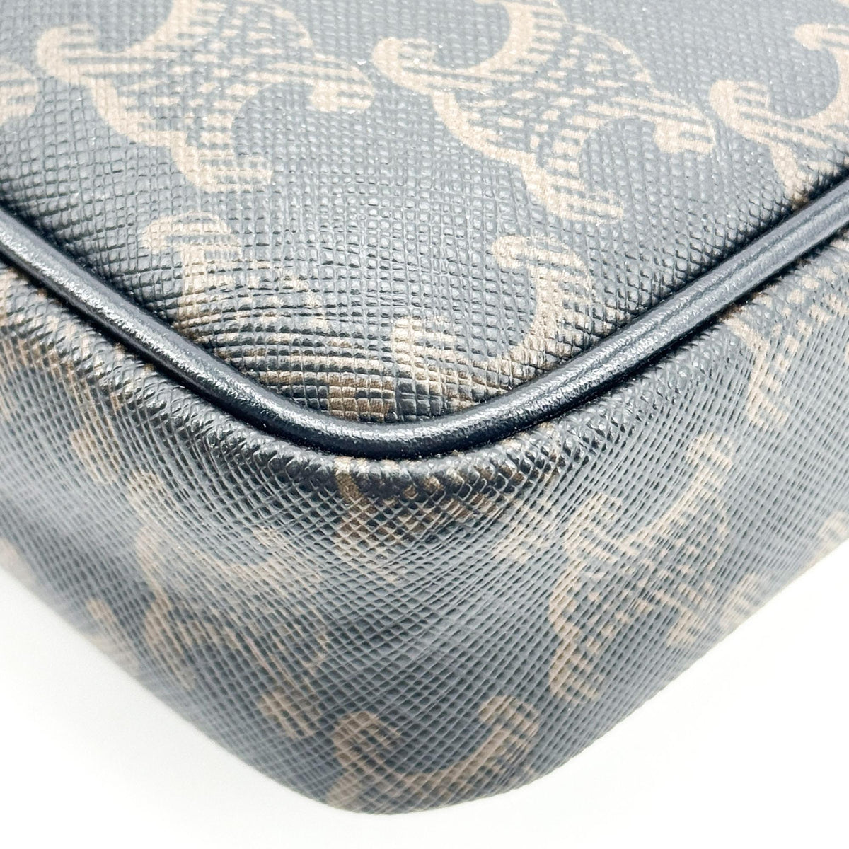 Celine Triomphe Canvas CELINE Print Camera Bag Black